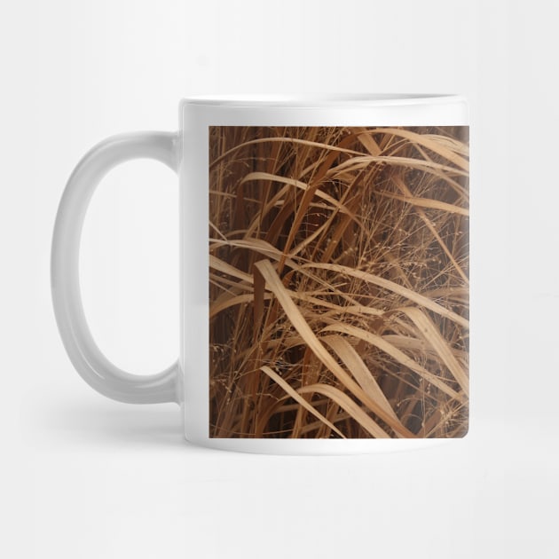 December's Grasses by lyle58